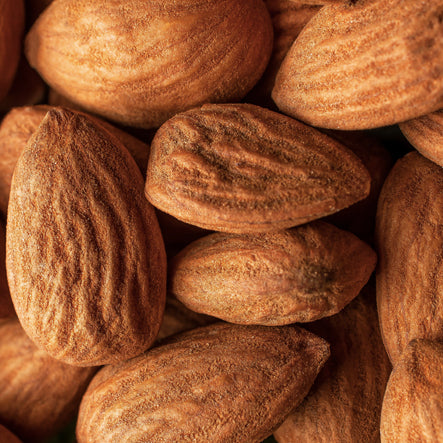 almonds tradition praline