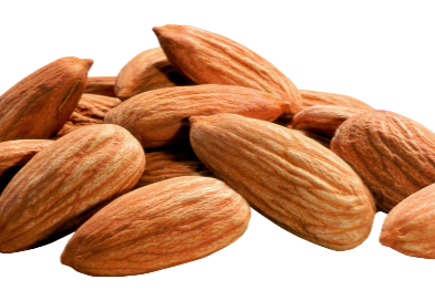 almond praline